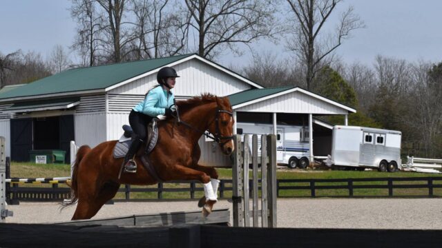 The Riding School