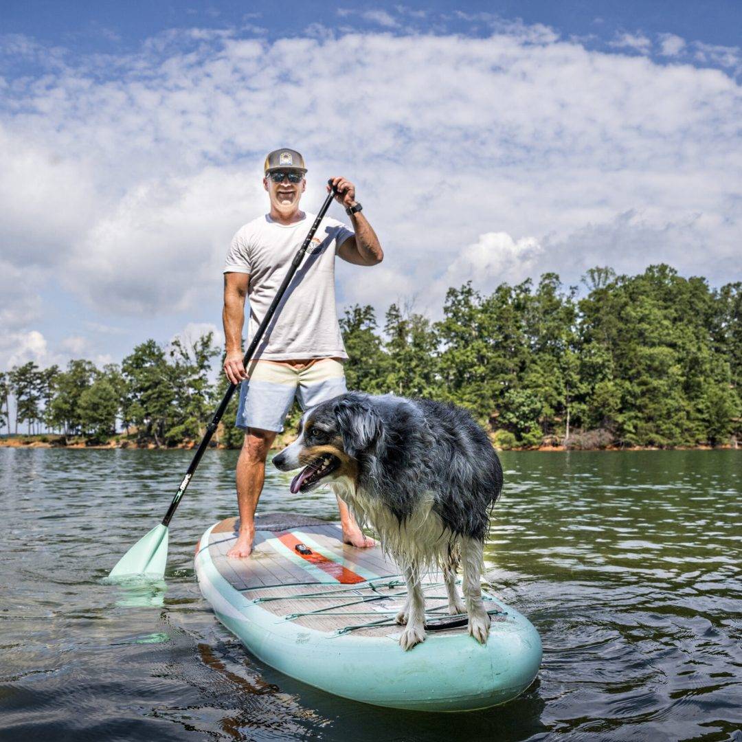 paddle-board-dog-2-scaled